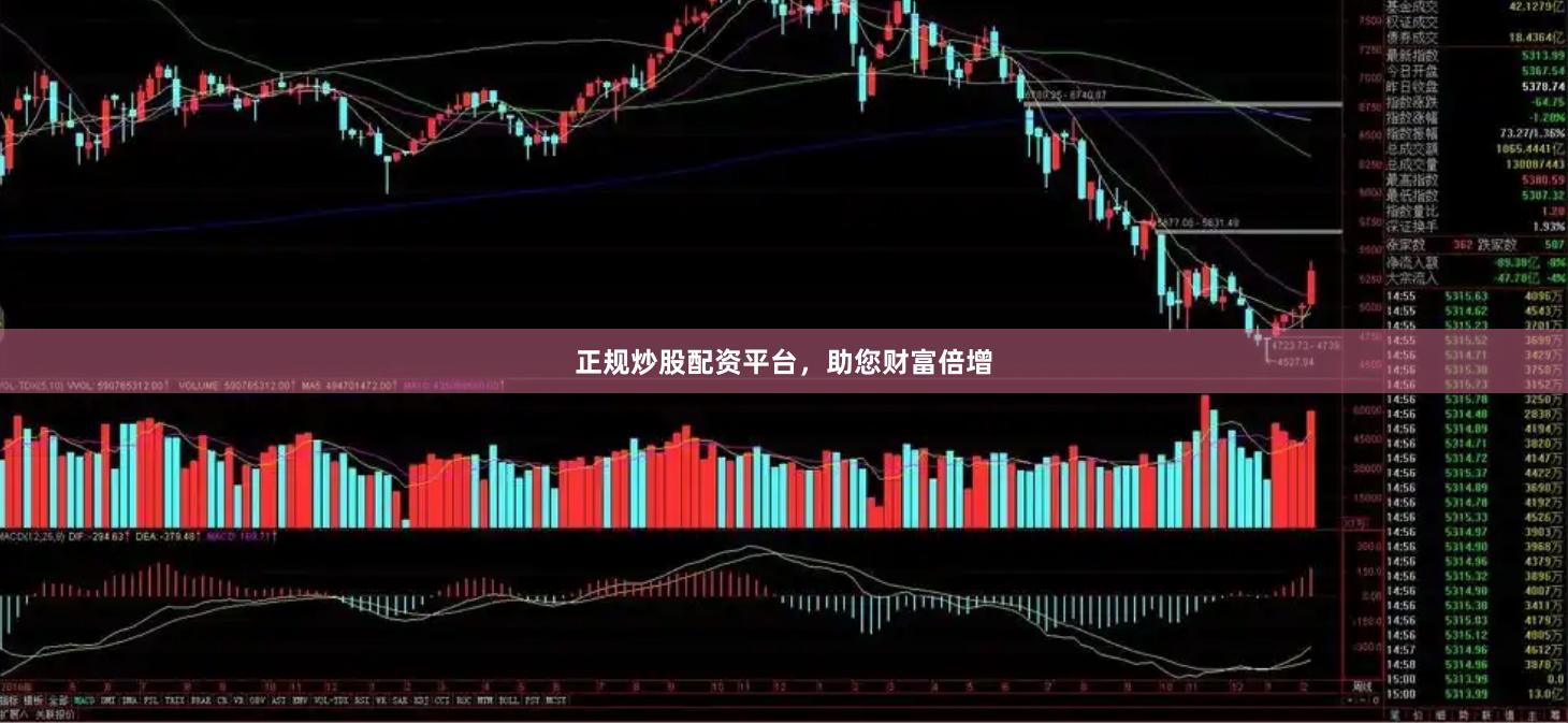 正规炒股配资平台，助您财富倍增