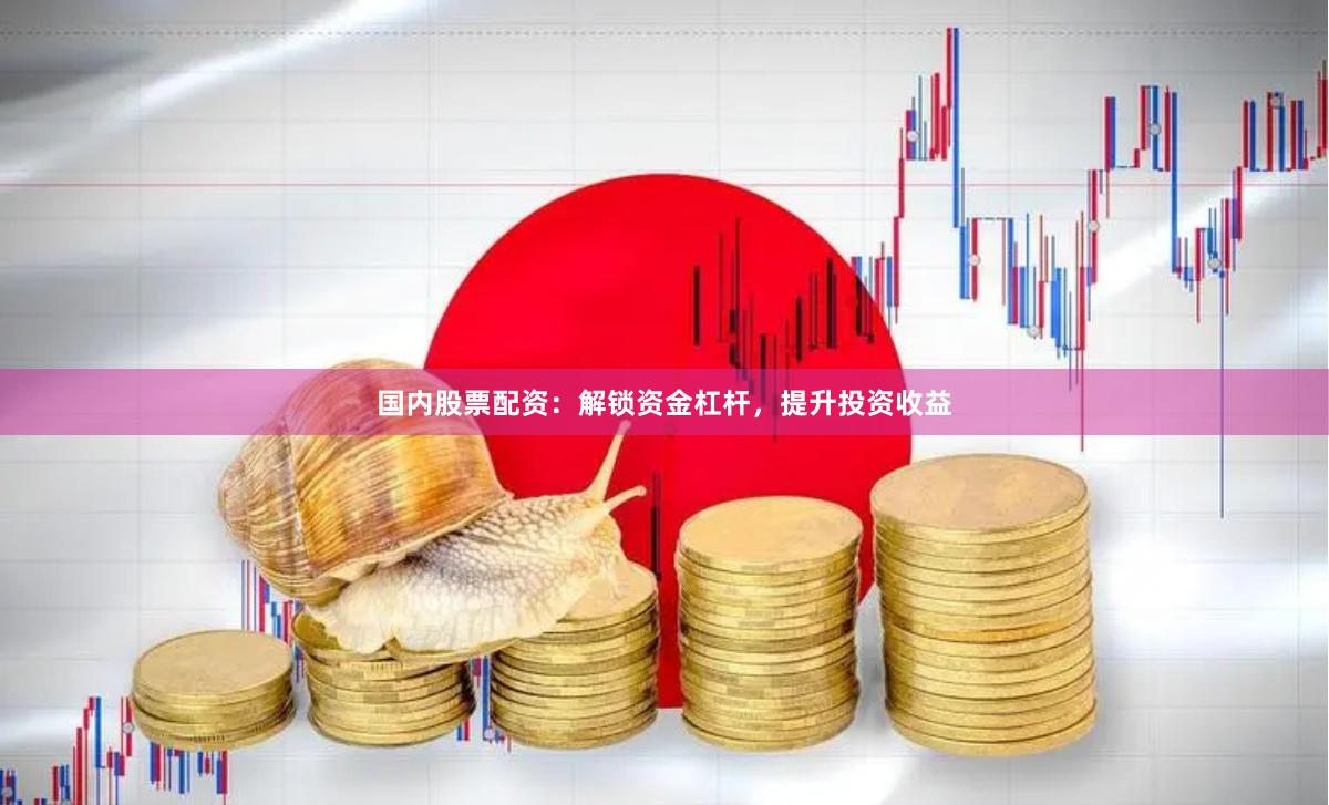 国内股票配资：解锁资金杠杆，提升投资收益